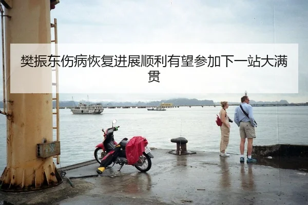 樊振东伤病恢复进展顺利有望参加下一站大满贯