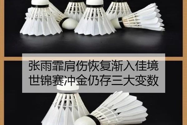 张雨霏肩伤恢复渐入佳境 世锦赛冲金仍存三大变数